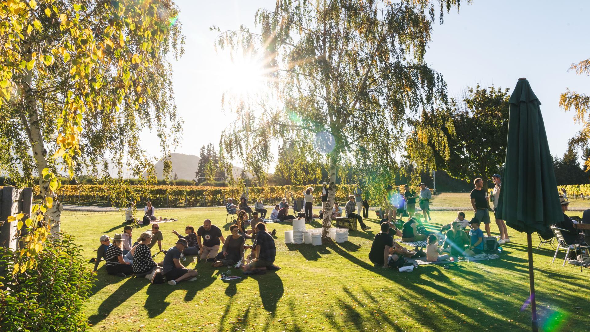 Guests relaxing on the lawn at a vineyard in golden afternoon light